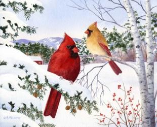 Cardinals And Hemlock Tree | Obraz na stenu