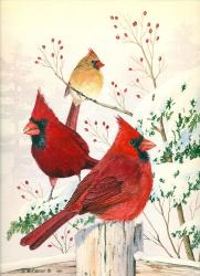 Cardinals In Winter | Obraz na stenu
