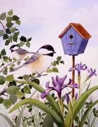 Chickadees And Iris | Obraz na stenu