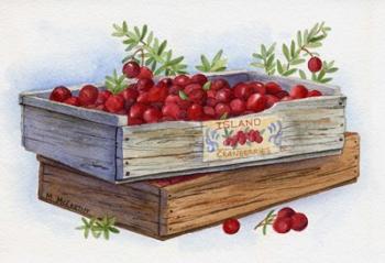 Cranberry Crates | Obraz na stenu