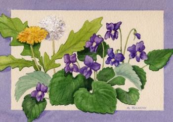 Dandelion And Violets | Obraz na stenu