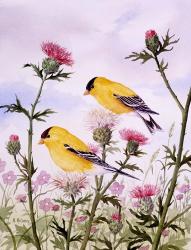 Goldfinch and Thistle | Obraz na stenu