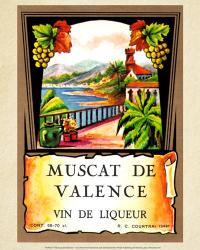 Muscat de Valence | Obraz na stenu