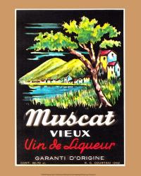 Muscat Vieux | Obraz na stenu