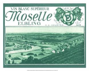 Moselle Elbling | Obraz na stenu