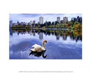 Swan in the City Lake | Obraz na stenu