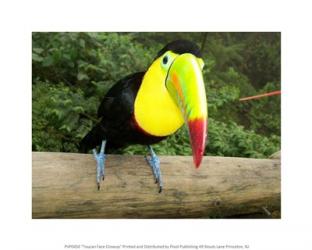 Toucan Face Closeup | Obraz na stenu