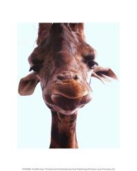 Giraffe Face | Obraz na stenu