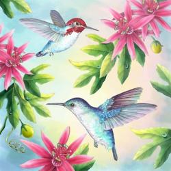 Bee Hummingbirds | Obraz na stenu