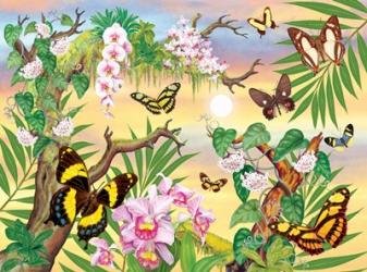 Butterflies Up IN The Canopy | Obraz na stenu