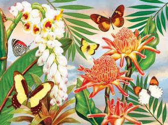 Butterflies With Torch Ginger | Obraz na stenu