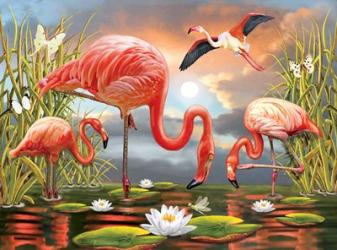 Flamingos | Obraz na stenu