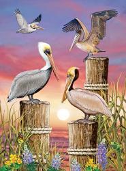 Pelicans-Vertical | Obraz na stenu