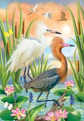 Reddish Heron Two Phases | Obraz na stenu