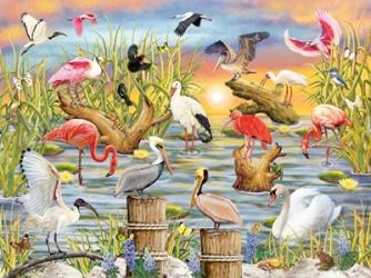 Fabulous Water Birds | Obraz na stenu