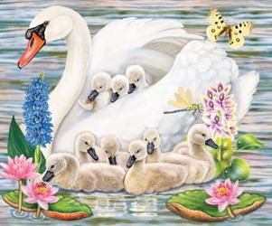 Mother Swan | Obraz na stenu