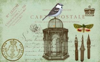 Carte De Visit Bird | Obraz na stenu