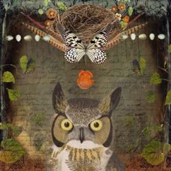 Deep Forest Owl | Obraz na stenu