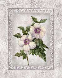 Floral I | Obraz na stenu
