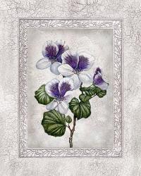 Floral II | Obraz na stenu