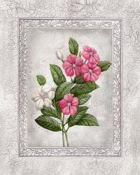 Floral III | Obraz na stenu