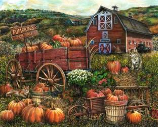 Pumpkin Farm | Obraz na stenu