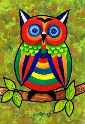 Carnival Owl | Obraz na stenu