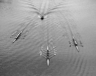 1950s Aerial View Of Rowing Competition | Obraz na stenu