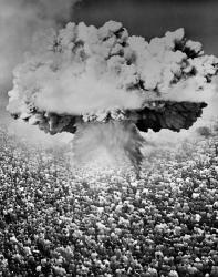1950s 1960s Atomic Bomb Symbolic Montage | Obraz na stenu