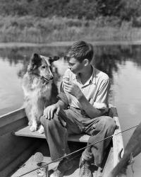 1930s Boy And Collie Dog | Obraz na stenu