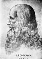 Self Portrait Of Leonardo Da Vinci Circa 1512 | Obraz na stenu