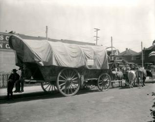 1920s Ox Drawn Conestoga Covered Wagon | Obraz na stenu