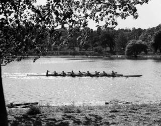 1930s Silhouette Sculling Boat Race | Obraz na stenu