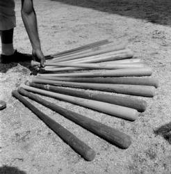 1950s Baseball Player Selecting A Variety Of Bats | Obraz na stenu