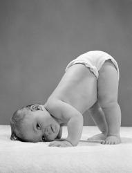 1950s Baby In Diaper With Cheek To Floor And Bottom In Air? | Obraz na stenu