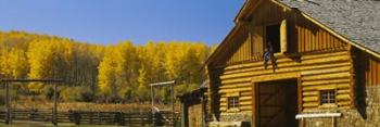 Cowboy sitting on a window of a log cabin, Colorado | Obraz na stenu