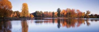 Trees in autumn along a lake, Canterbury | Obraz na stenu