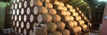 Napa Wine Country Stag's LeapWine Cellars Barrel Room | Obraz na stenu