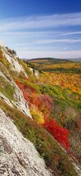 Trees on a landscape, Clifton, Maine, New England | Obraz na stenu