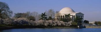 Jefferson Memorial, Washington DC | Obraz na stenu