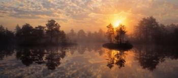 Knuthojdmossen Nature Reserve Sweden | Obraz na stenu