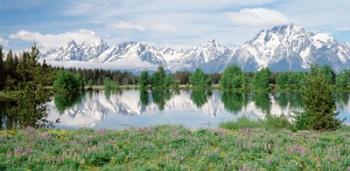 Spring Grand Teton National Park WY | Obraz na stenu