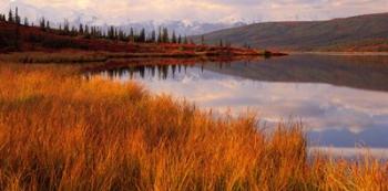 Wonder Lake & Alaska Range Denali National Park | Obraz na stenu