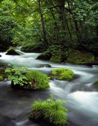 River Aomori Japan | Obraz na stenu