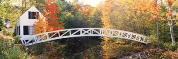 Arched white footbridge | Obraz na stenu