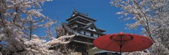 Cherry Blossom Matsue Castle Japan | Obraz na stenu