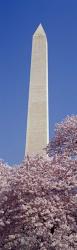 Washington Monument, Washington DC | Obraz na stenu