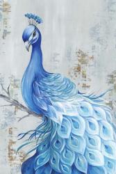 Peacock Paradise | Obraz na stenu