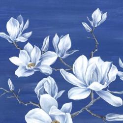Blooming Magnolias I | Obraz na stenu