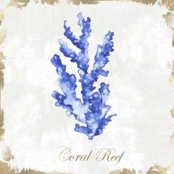 Blue Sea Coral | Obraz na stenu